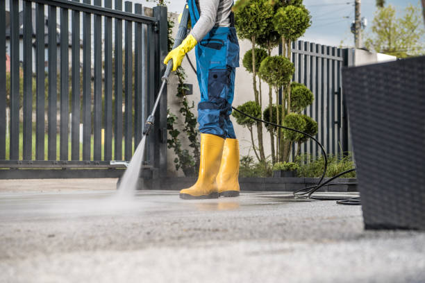 Best Roof Power Washing Services  in Livingston, TN