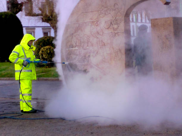 Best Residential Pressure Washing Services  in Livingston, TN