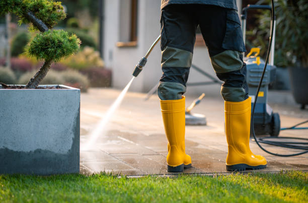 Best Roof Pressure Washing  in Livingston, TN